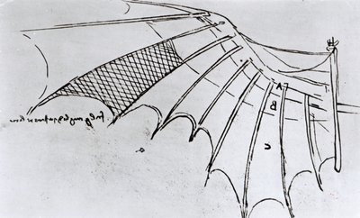 Studies of Wing Articulation, 1487-90 by Leonardo da Vinci